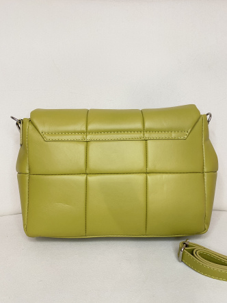 Сумка 180 Фисташка (343)